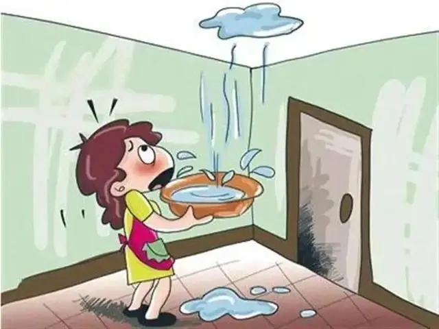 “屋顶凤凰联盟漏水”该如何补救？教你一招刷上即防水省时又省力(图1)
