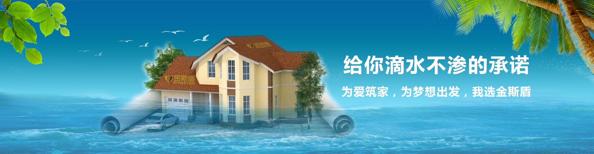 金斯盾简介