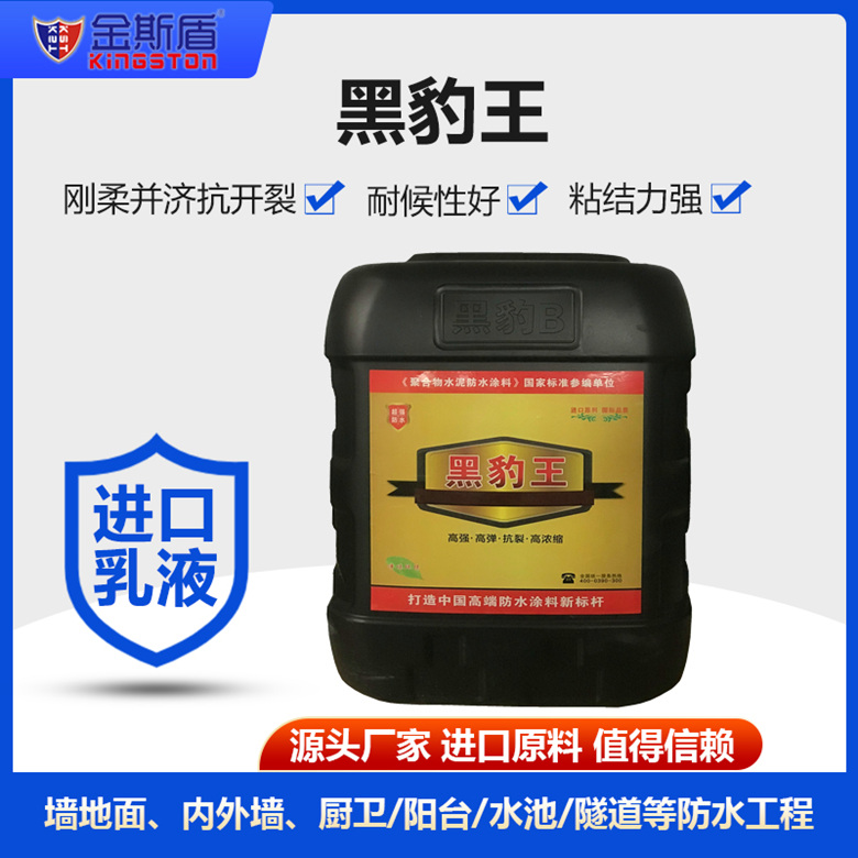 黑豹王